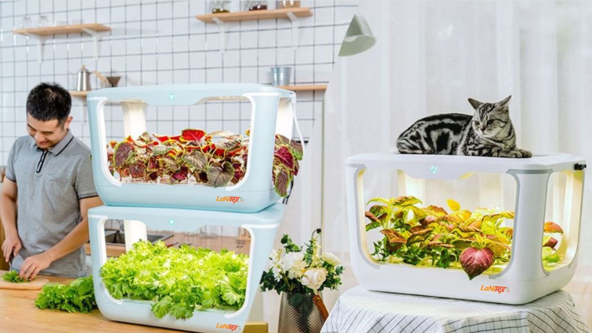 Hydroponic plants thriving in a multi-tiered vertical growing system.