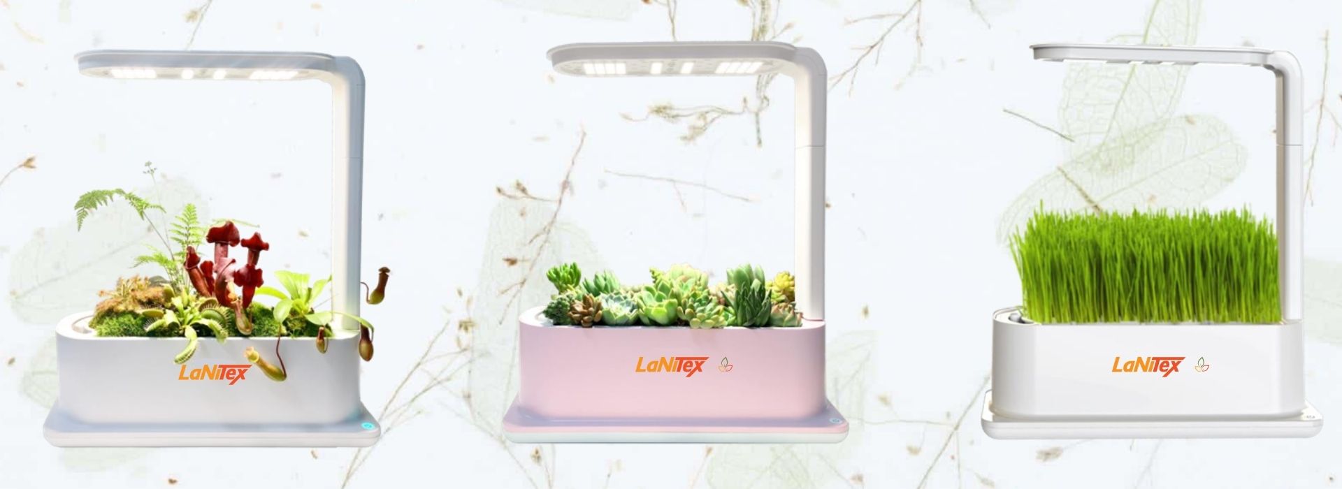 Three compact LaNtex hydroponic systems with LED grow lights, each cultivating different plants : ferns, succulents, and grass.