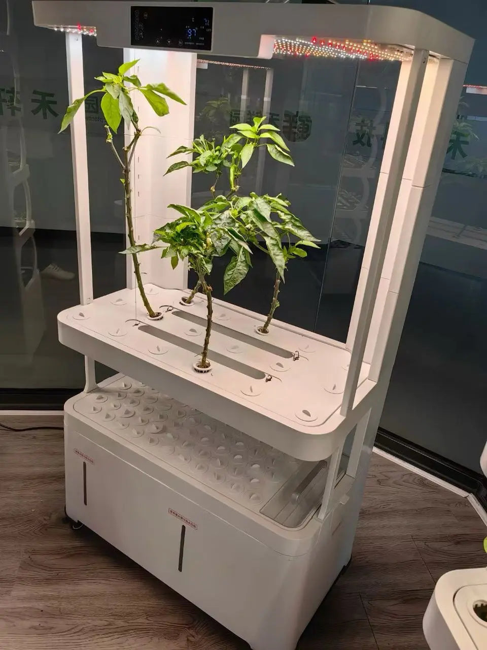 Automated self-watering hydroponic system shown with chilli plants (LaNiTex V5.2-T)