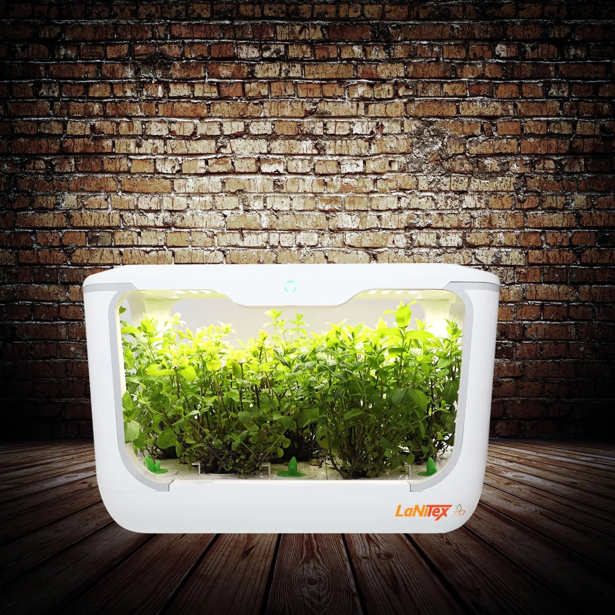 Indoor hydroponics growing system raising leafy greens under full-spectrum LED light