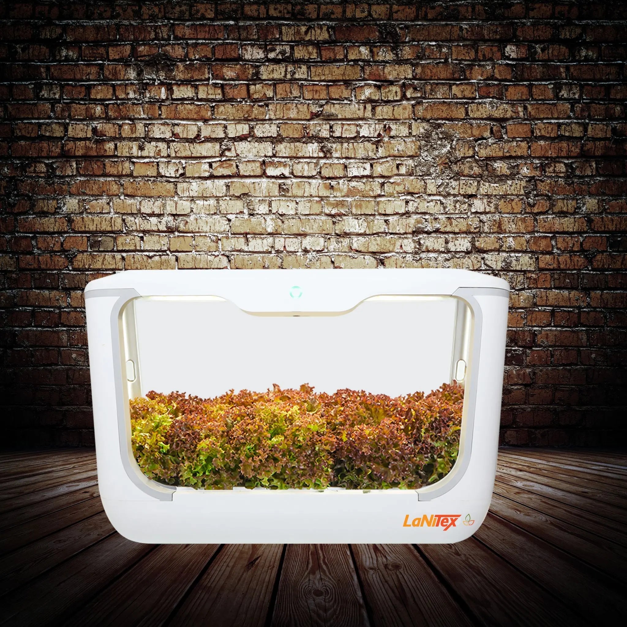 LaNiTex Smart Grow Box – benchtop hydroponics growing system growing fresh herbs and leafy greens