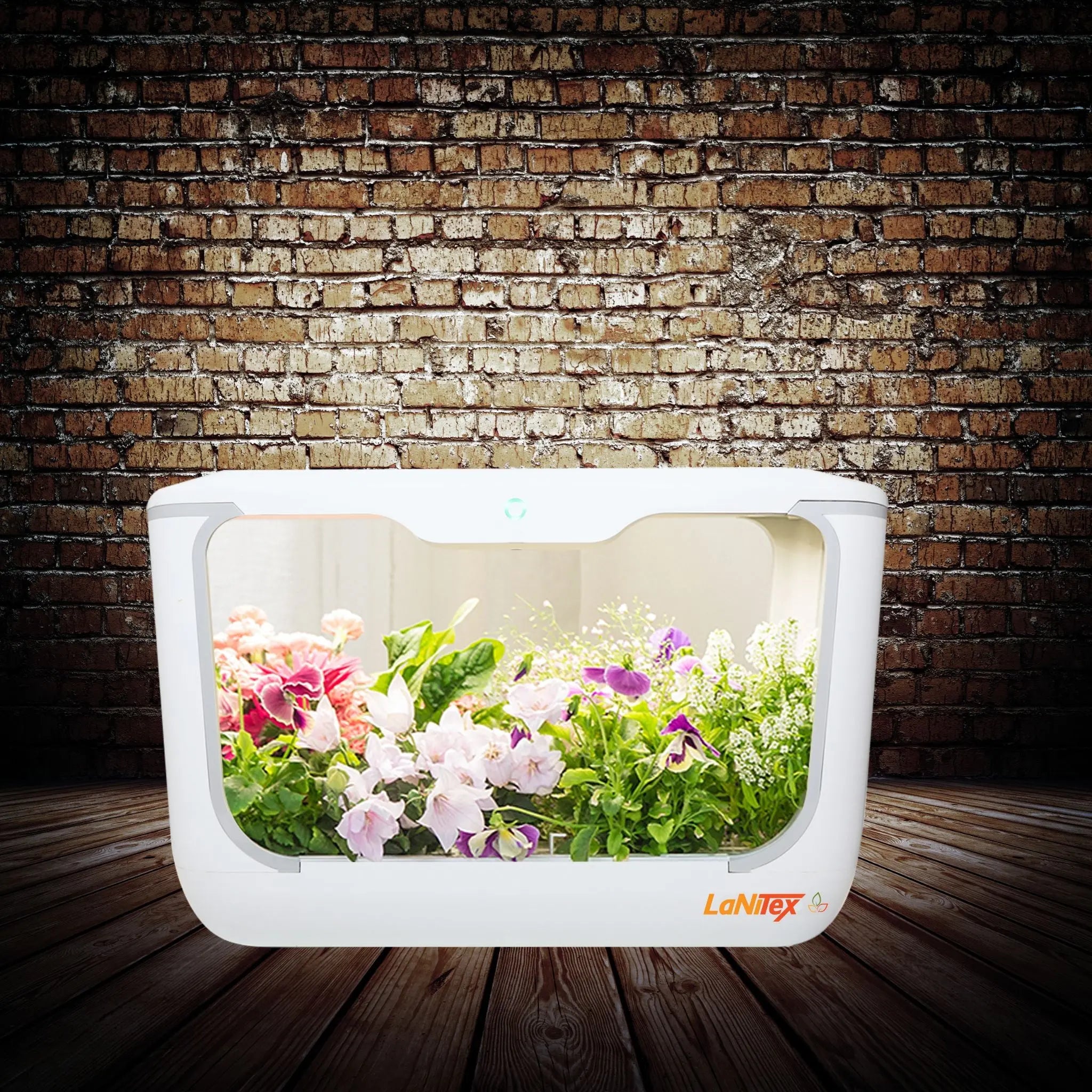 White automated growing box for effortless indoor herb and vegetable growing