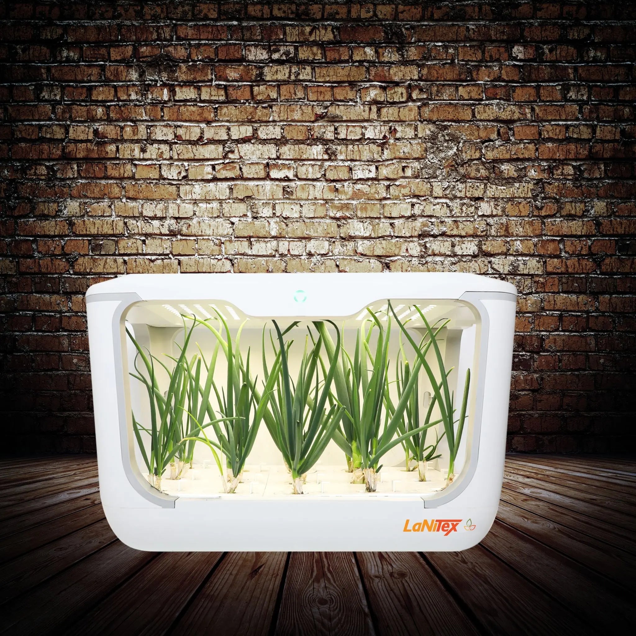 Space-saving hydroponics growing system feeding plants from the 9-litre reservoir