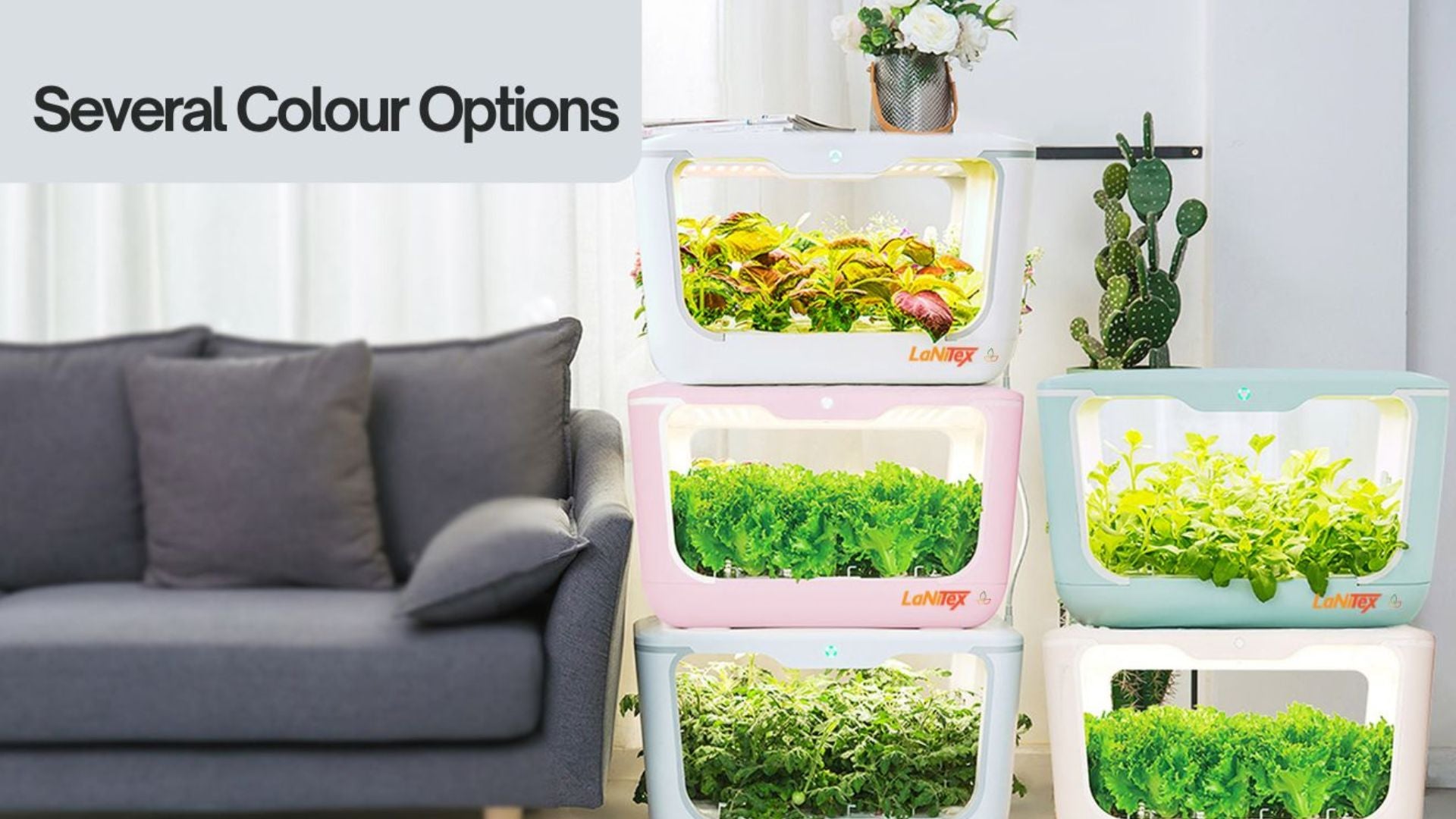 Compact indoor hydroponic system with automated lighting for efficient vegetable cultivation.