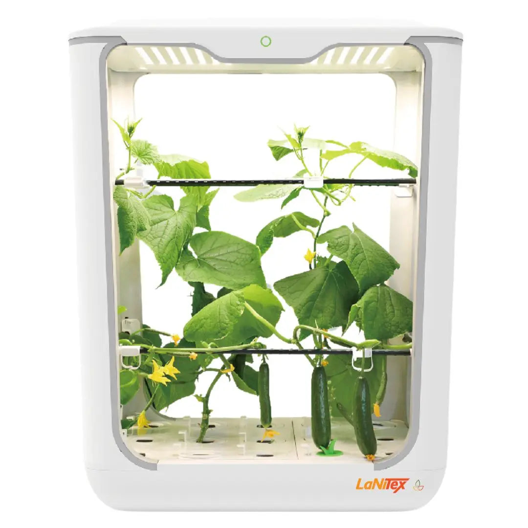 Tall indoor hydroponic system with multiple tiers growing cucumber under LED lighting in a controlled environment.