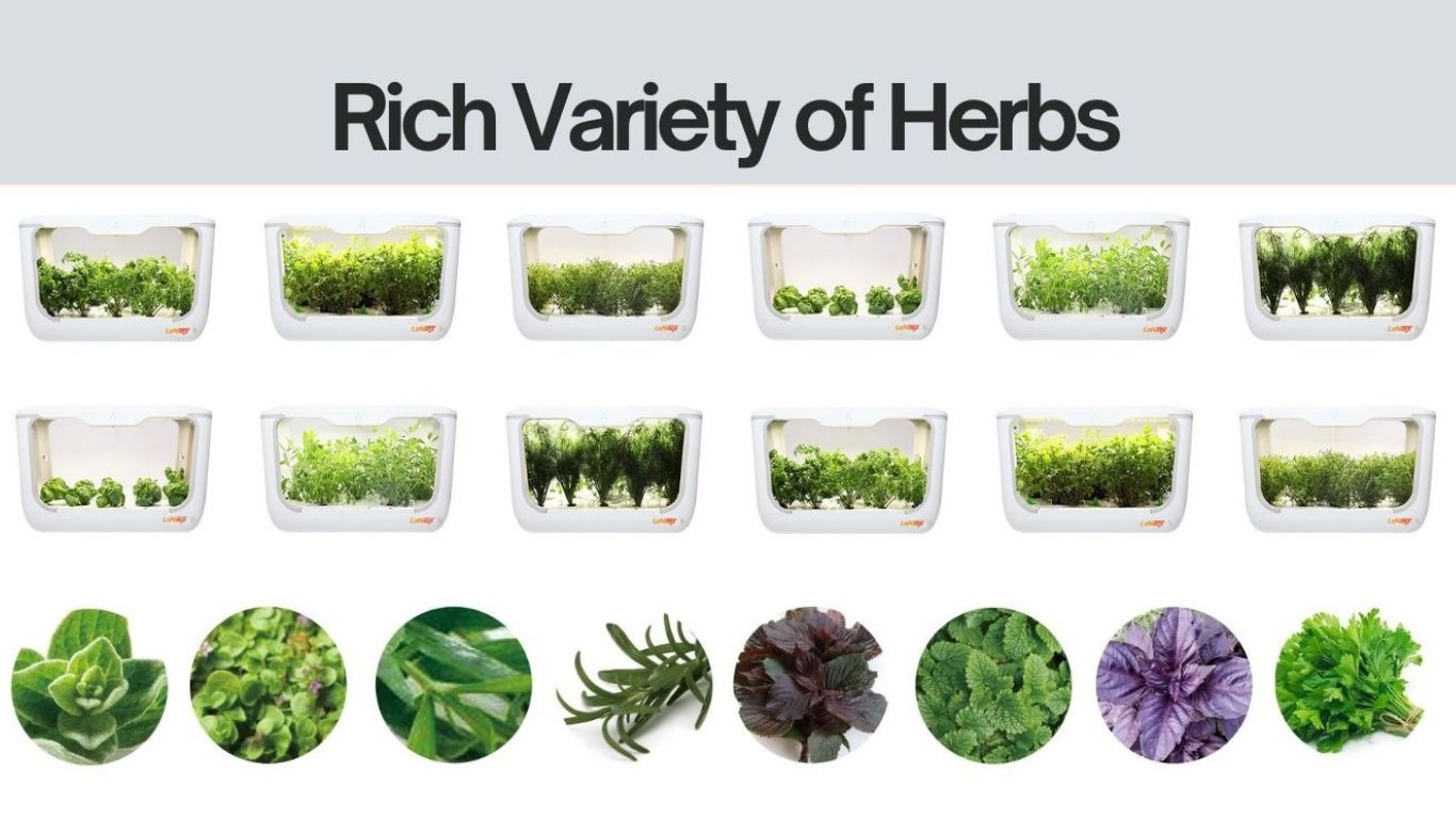 Indoor grow box full of vibrant herbs under built-in full-spectrum lighting