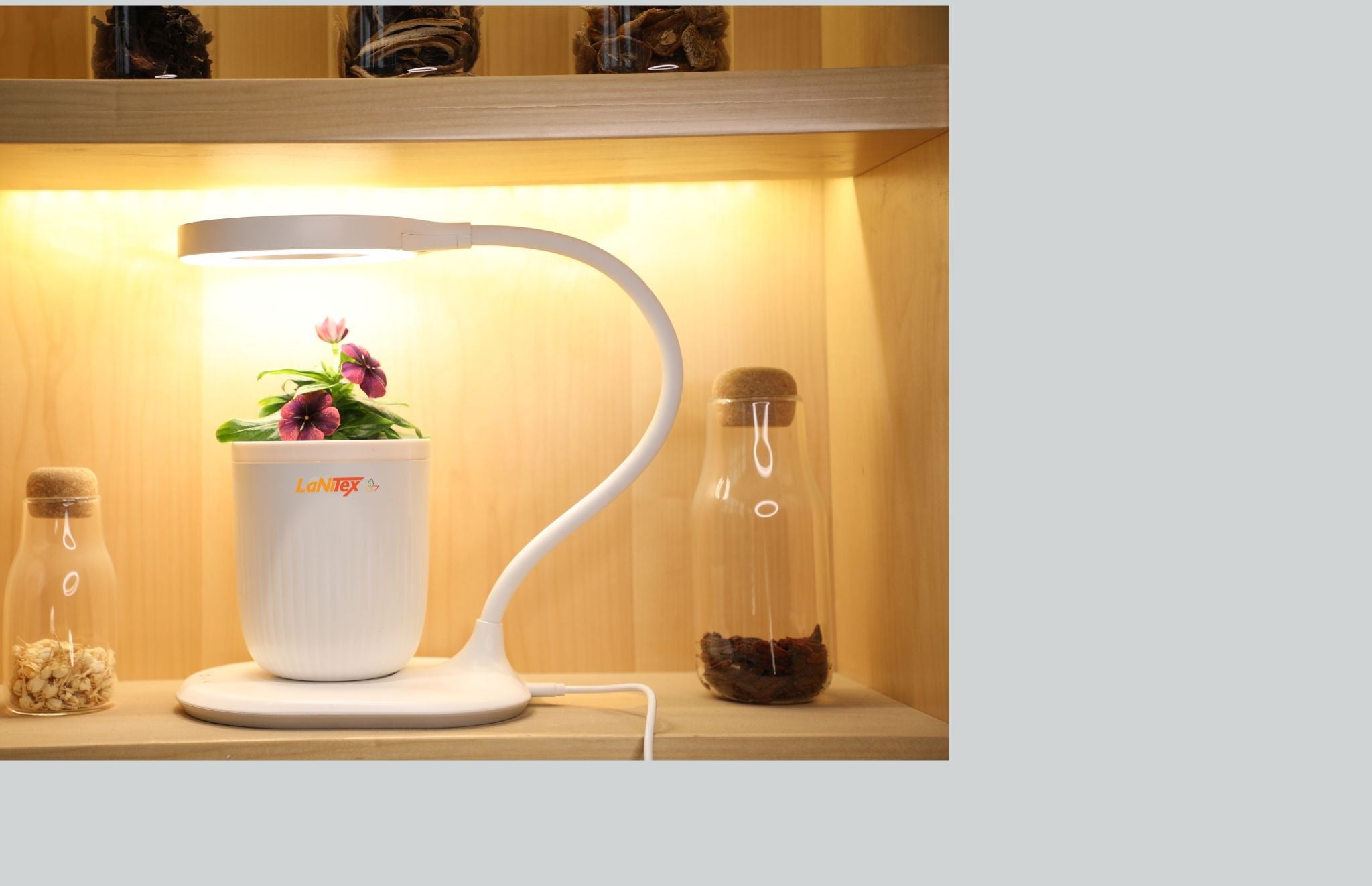 Self watering pot growing a plant under its built-in LED grow light