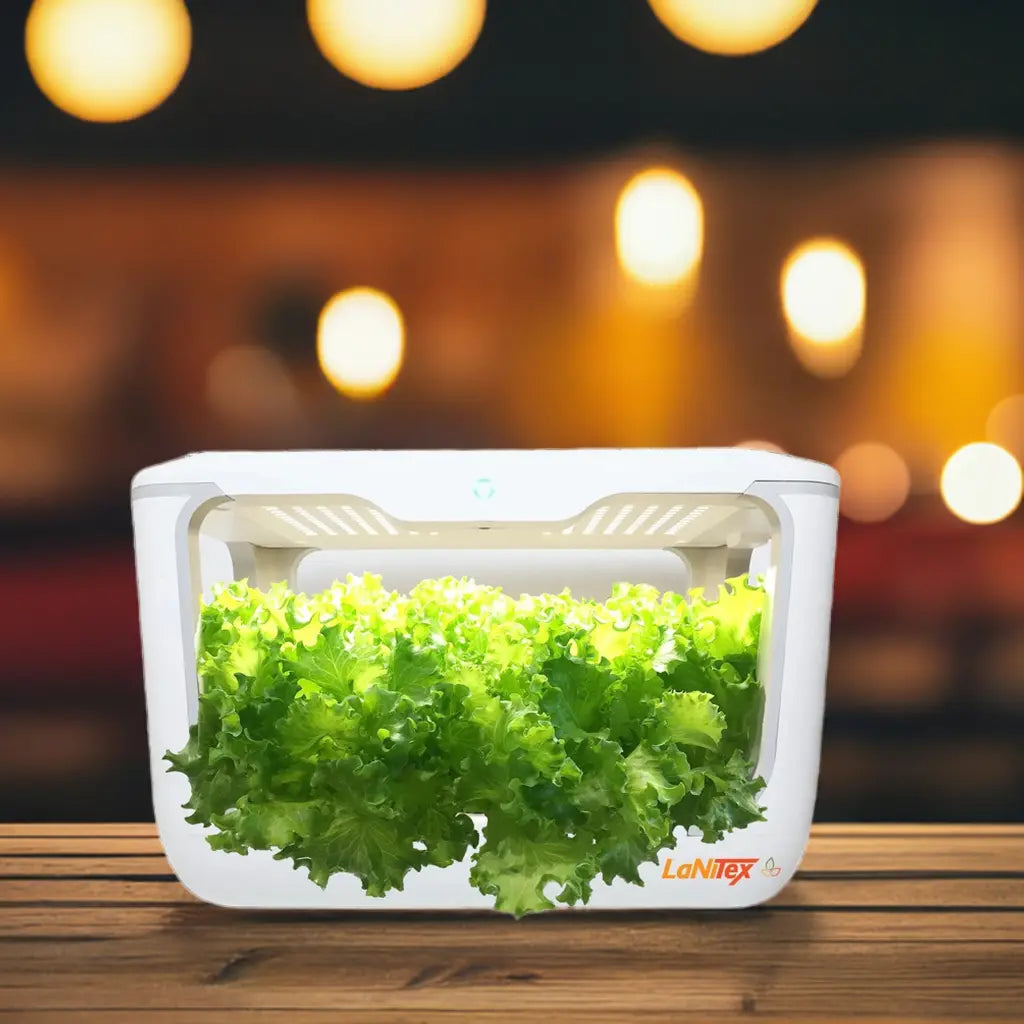 LaNiTex Smart Grow Box hydroponics growing system with planting accessories laid out