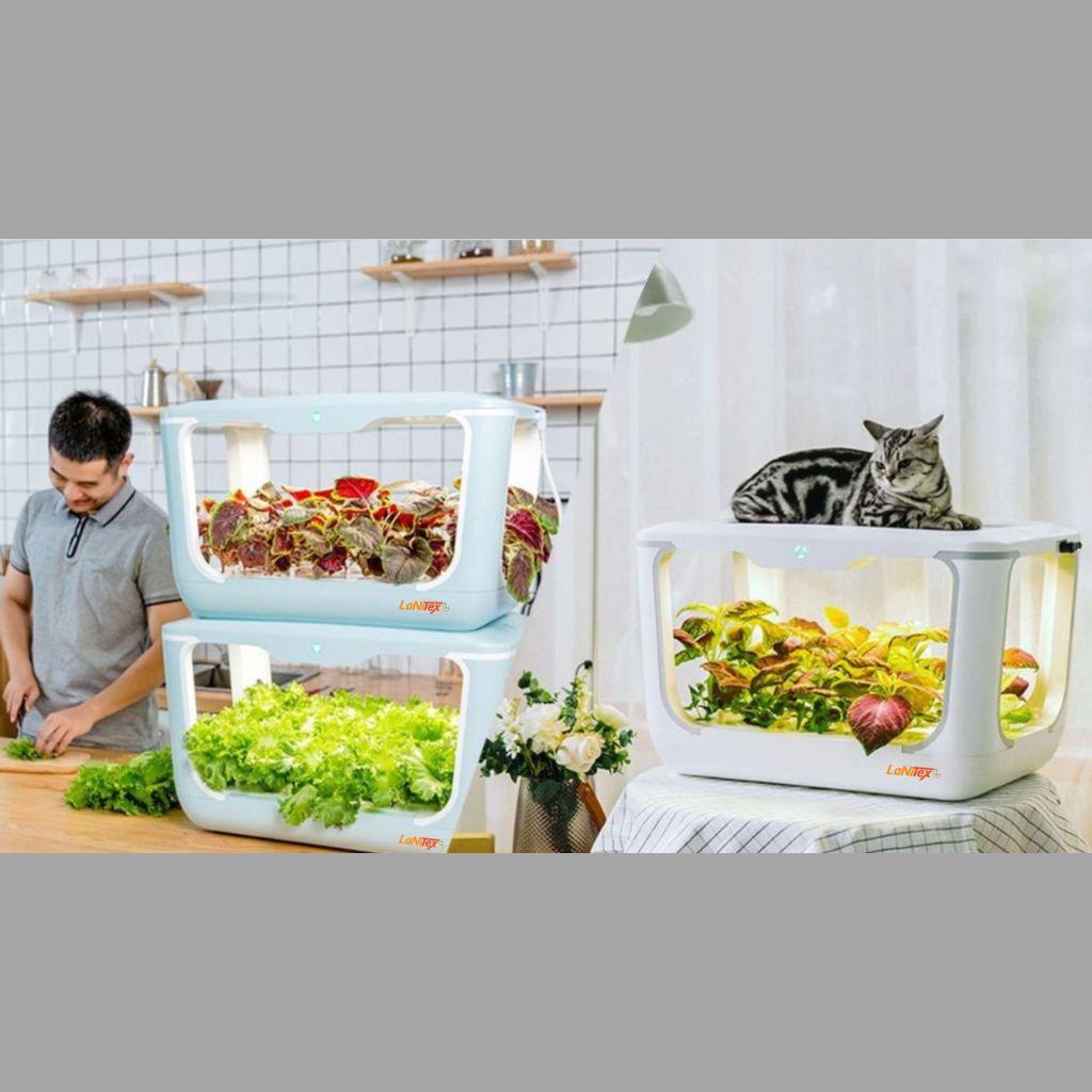 Space-efficient hydroponic system allowing fresh vegetables to grow indoors year-round in a kitchen.
