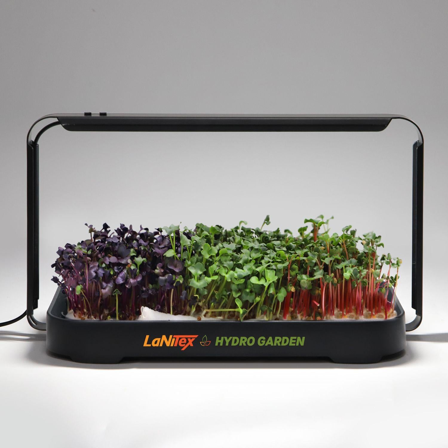 LaNiTex Hydro Garden with plants growing inside on a gray background