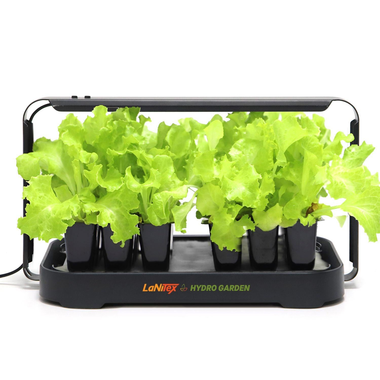 Hydroponic system with green plants on a white background
