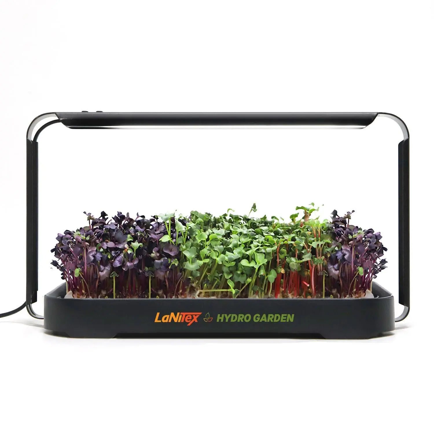 LaNiTex Smart Microgreen Kit growing red and green radish microgreens, white background