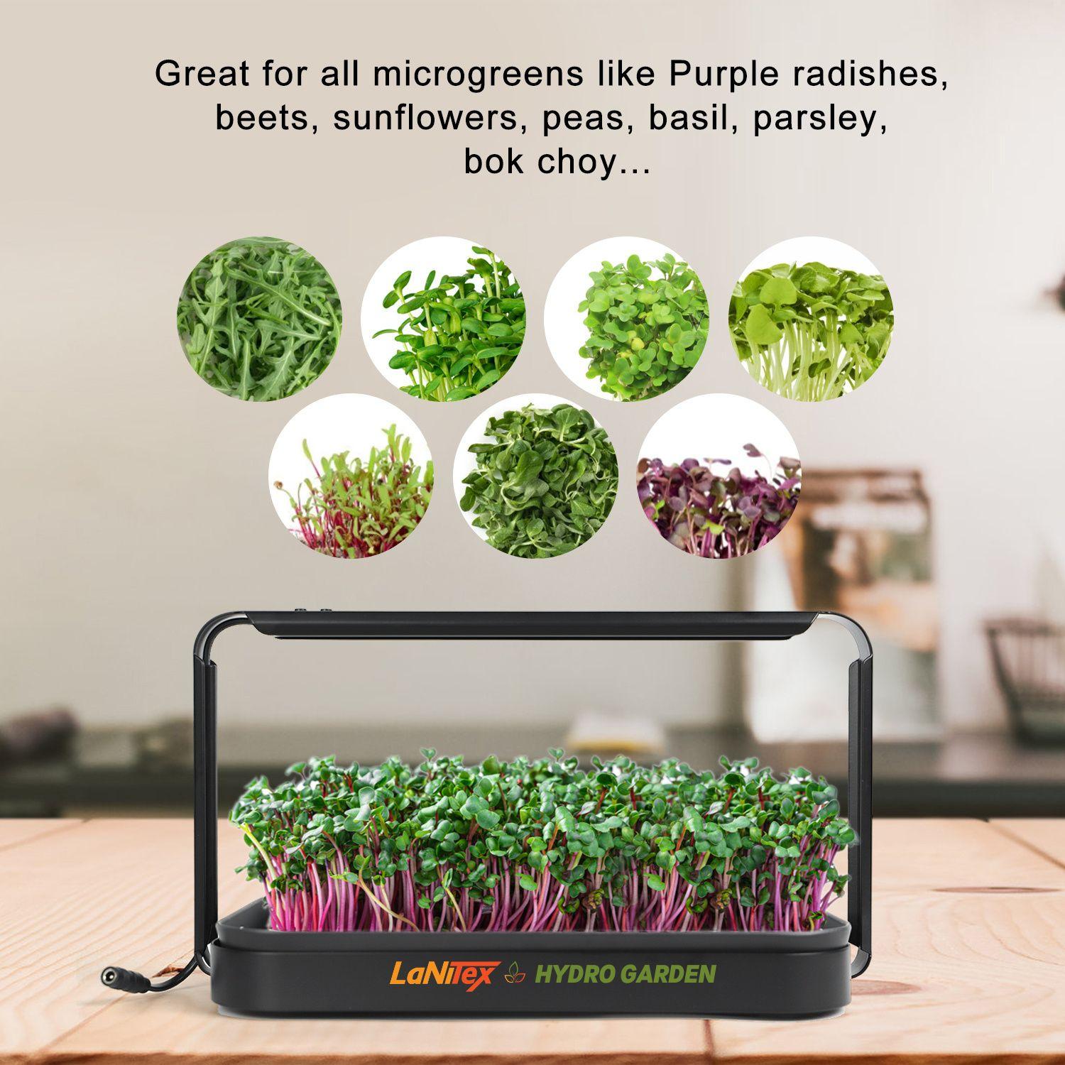 Black hydroponic gardening system with microgreens on a wooden surface, featuring Lanitex branding.