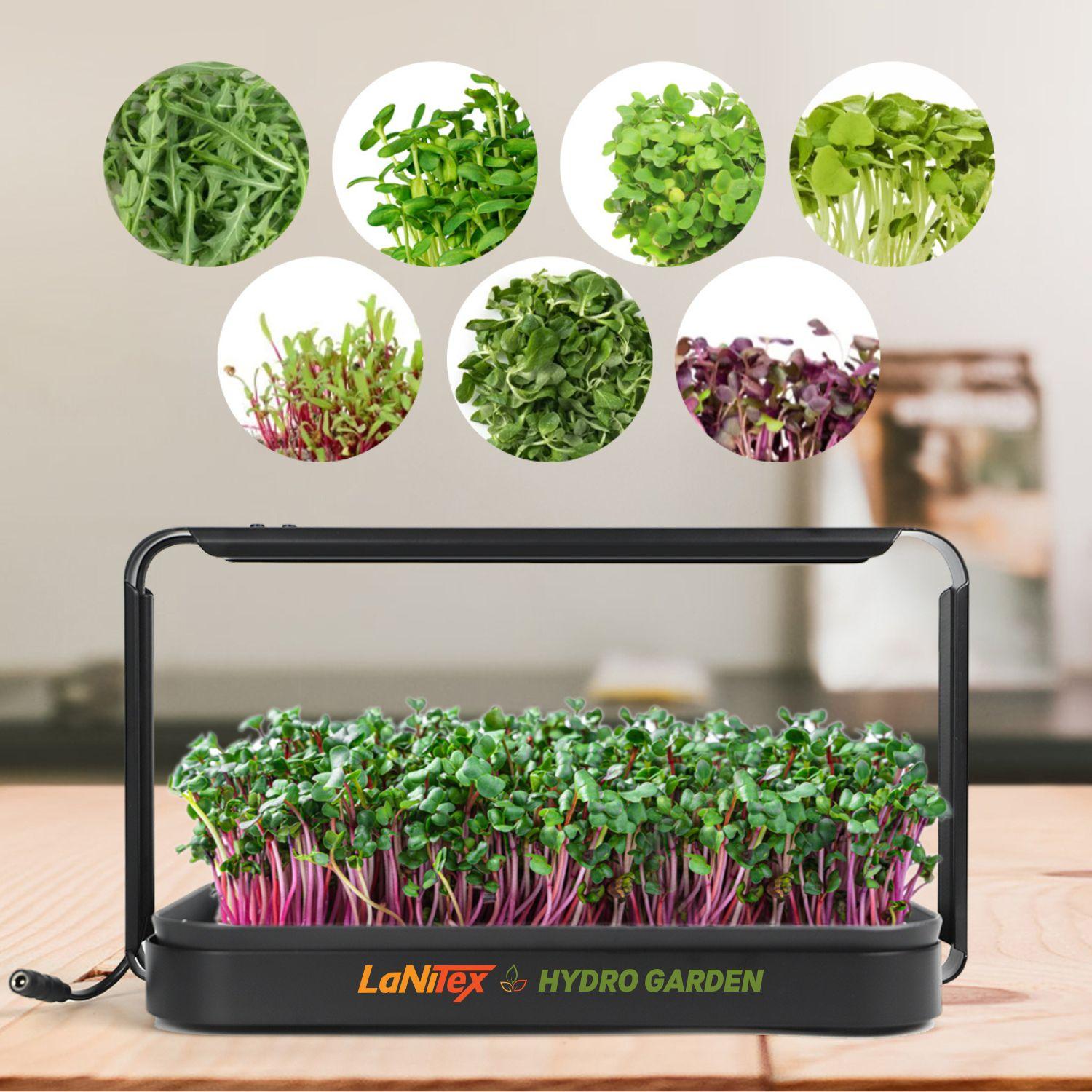LaNiTex Hydro Garden with microgreens on a wooden surface