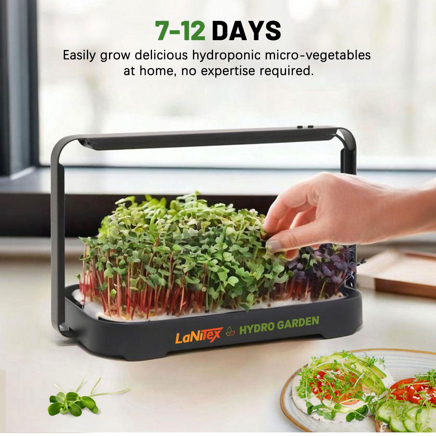 LaNiTex hydroponic system with microgreens and text about growing vegetables at home.