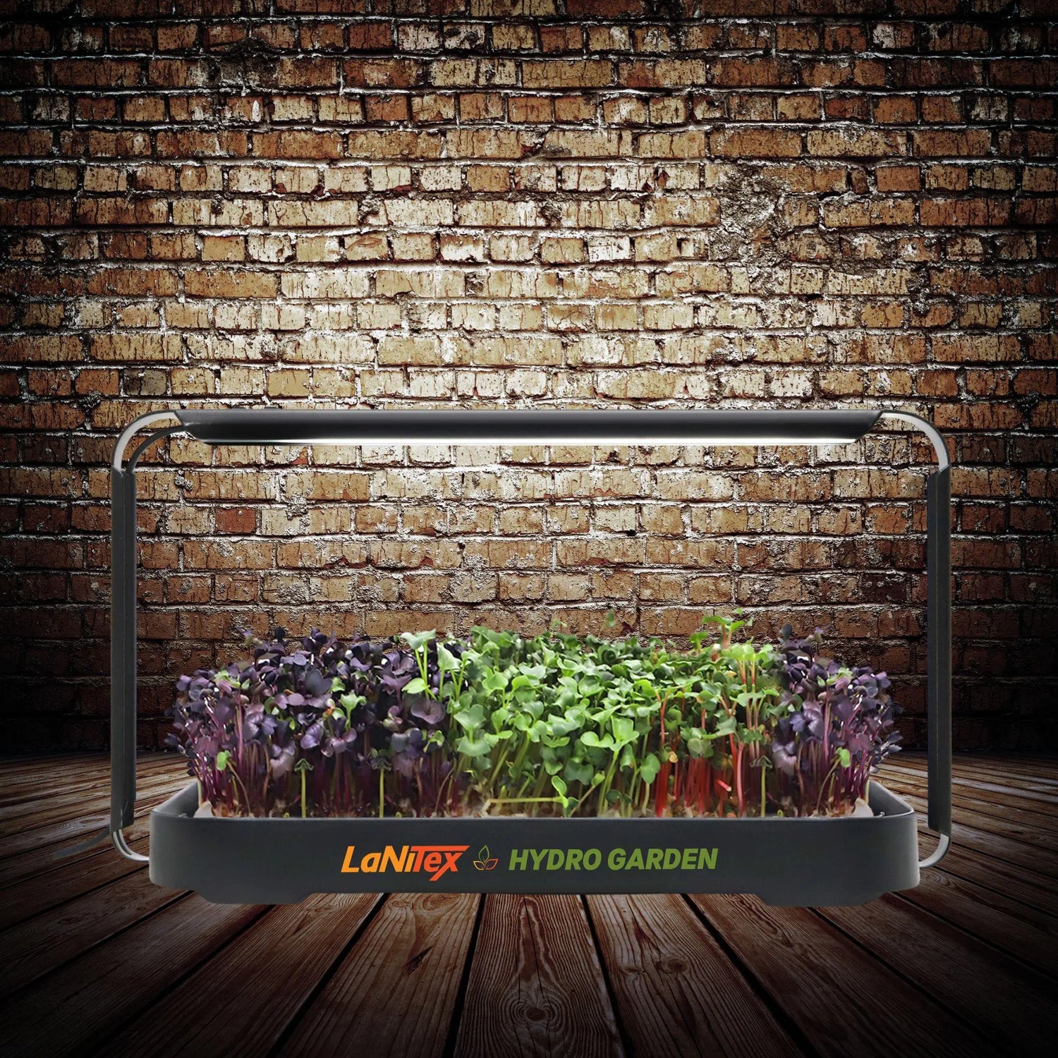 LaNiteX Hydro Garden with plants against a brick wall