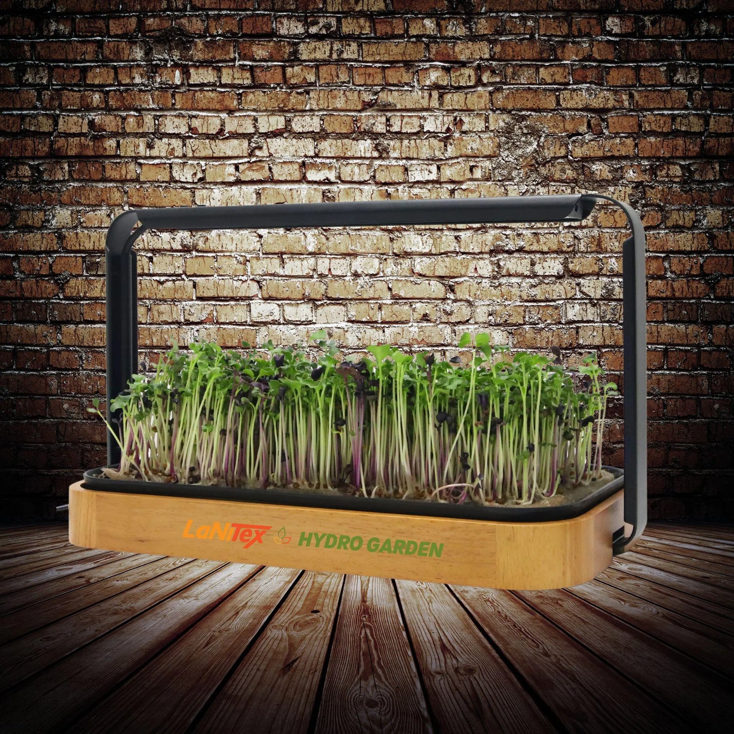 Hydroponic gardening system with plants against a brick wall.