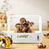 Compact LaNiTex Mushroom Growing Box with transparent lid, integrated humidity control, and LED lighting—designed for efficient indoor mushroom cultivation.