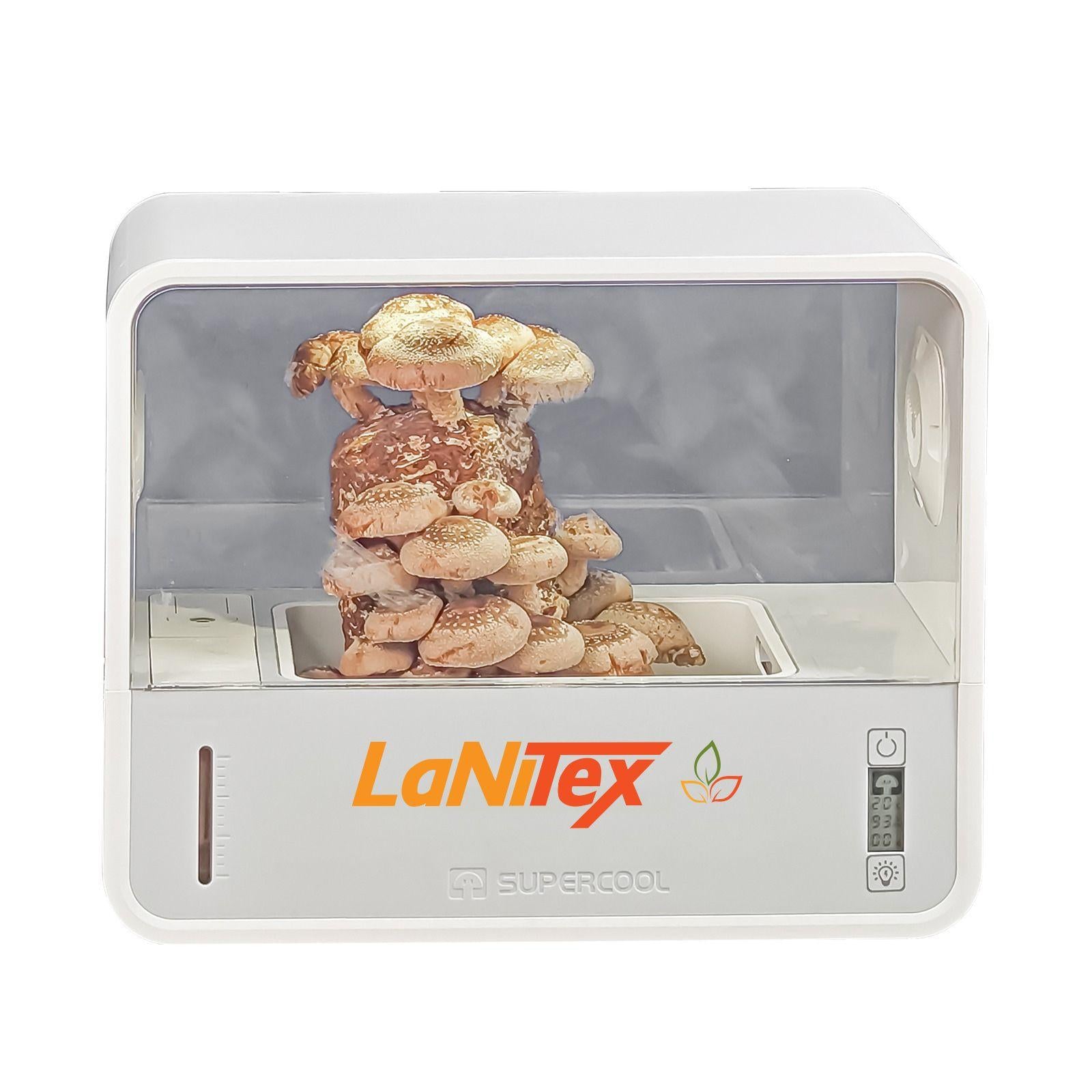 LaNitex mushroom growing device with mushrooms inside on a white background