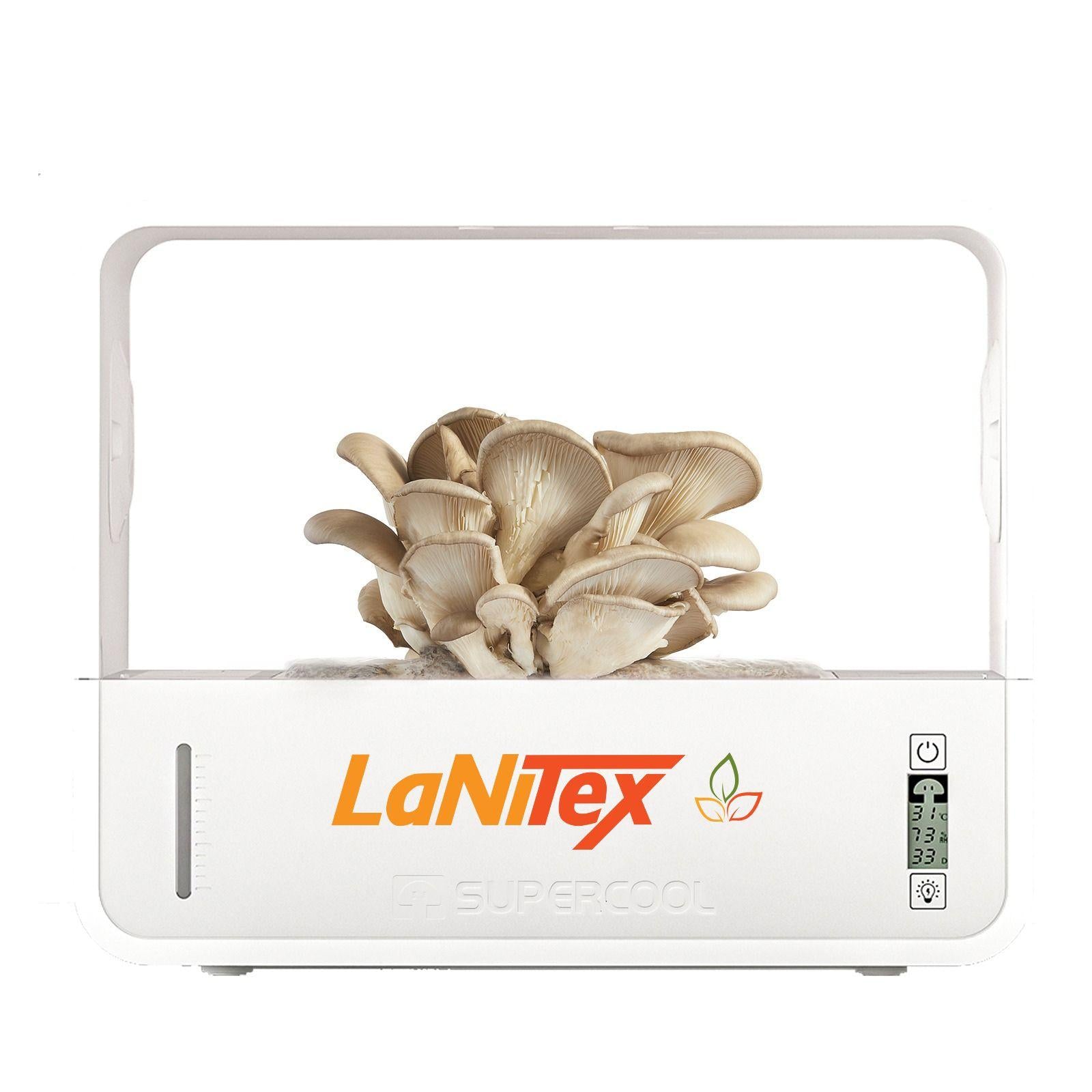 LaNitex mushroom growing device with mushrooms inside on a white background
