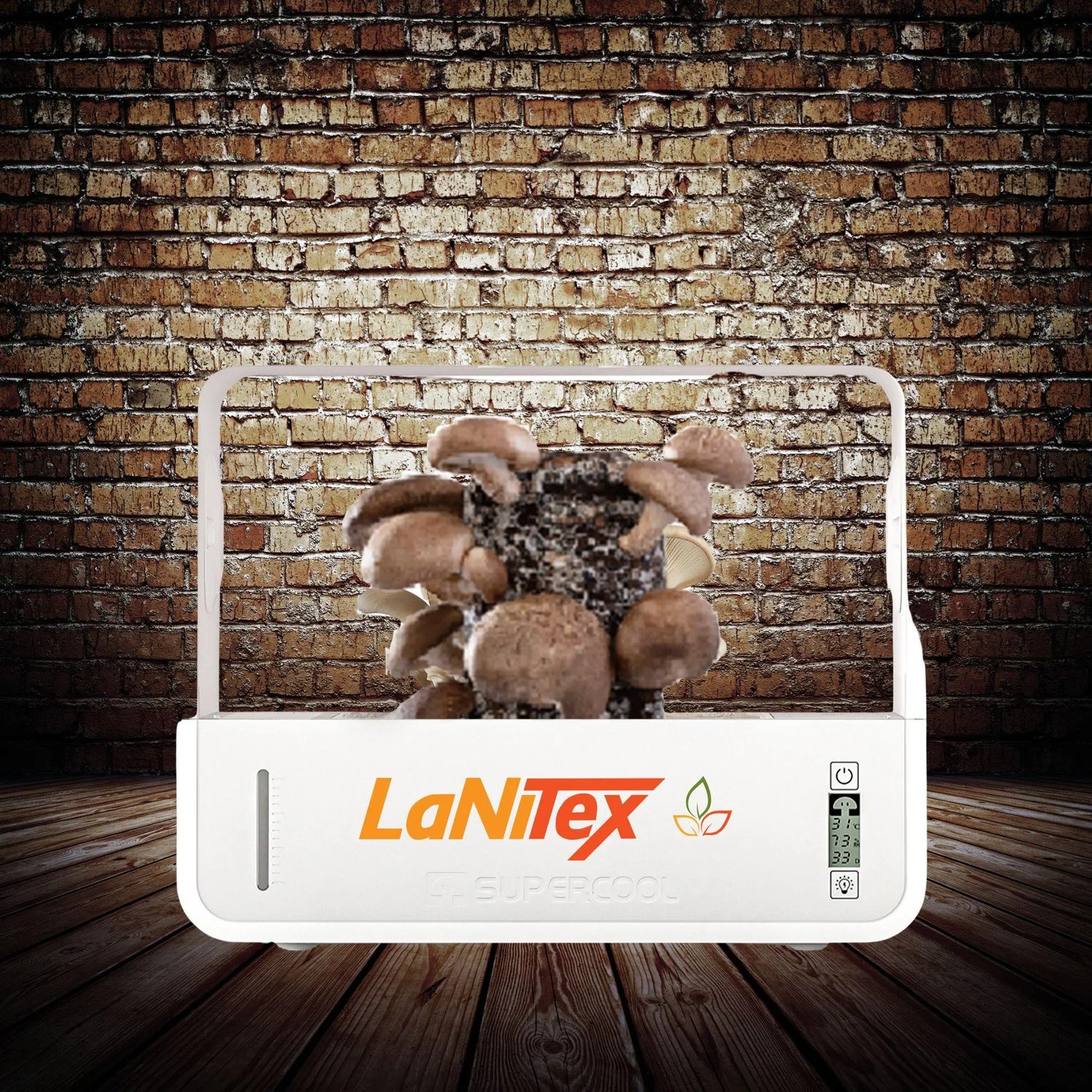 Mushroom growing system with LaNitex logo against a brick wall.