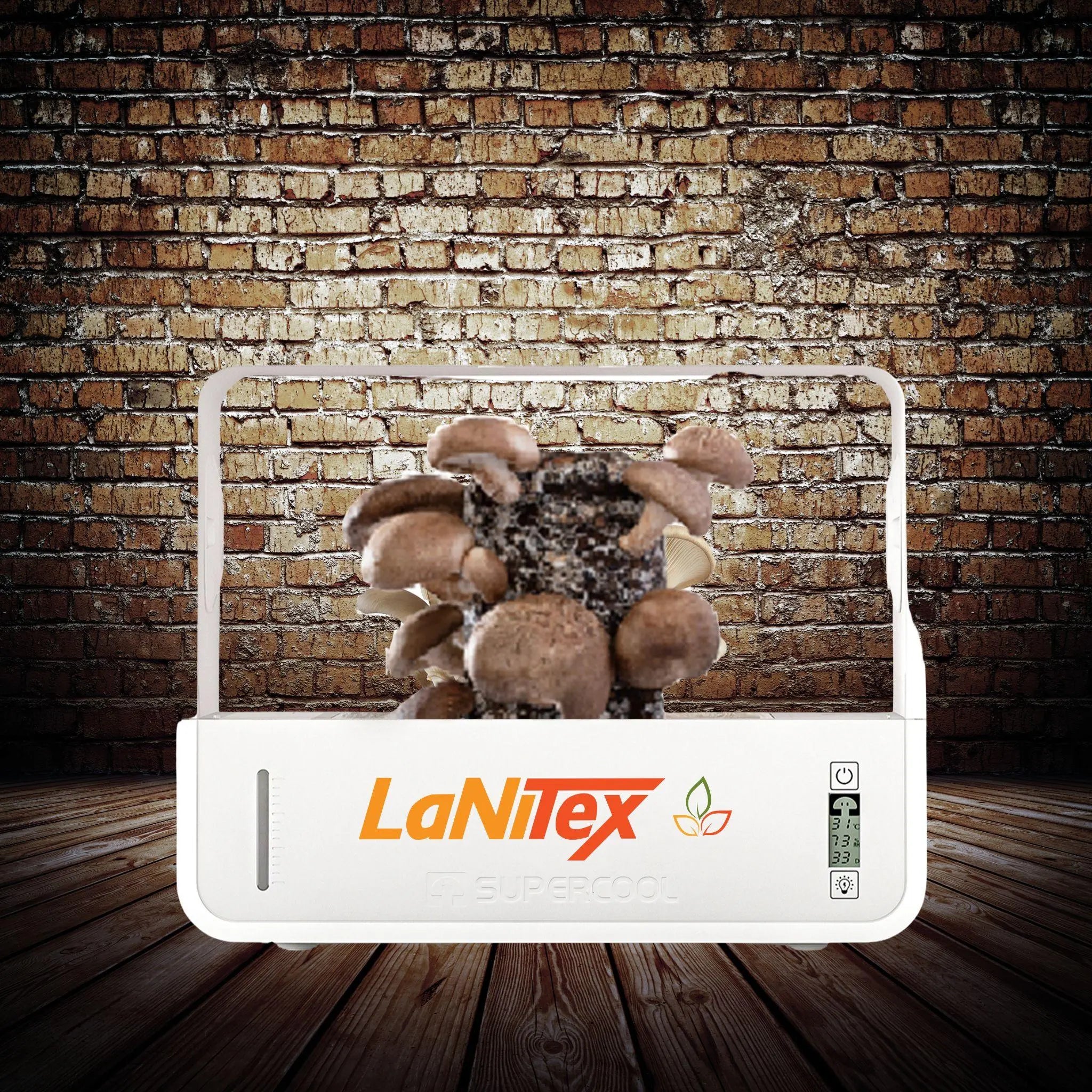 Mushroom growing system with LaNitex logo against a brick wall.