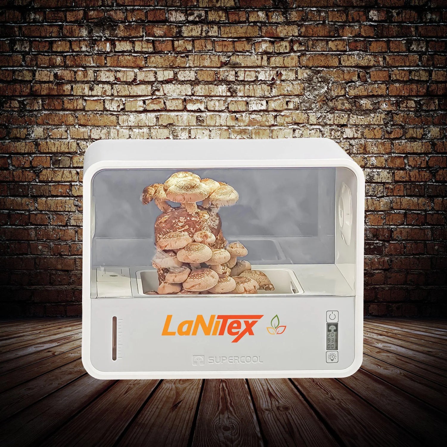 LaNitex mushroom growing device against a brick wall background