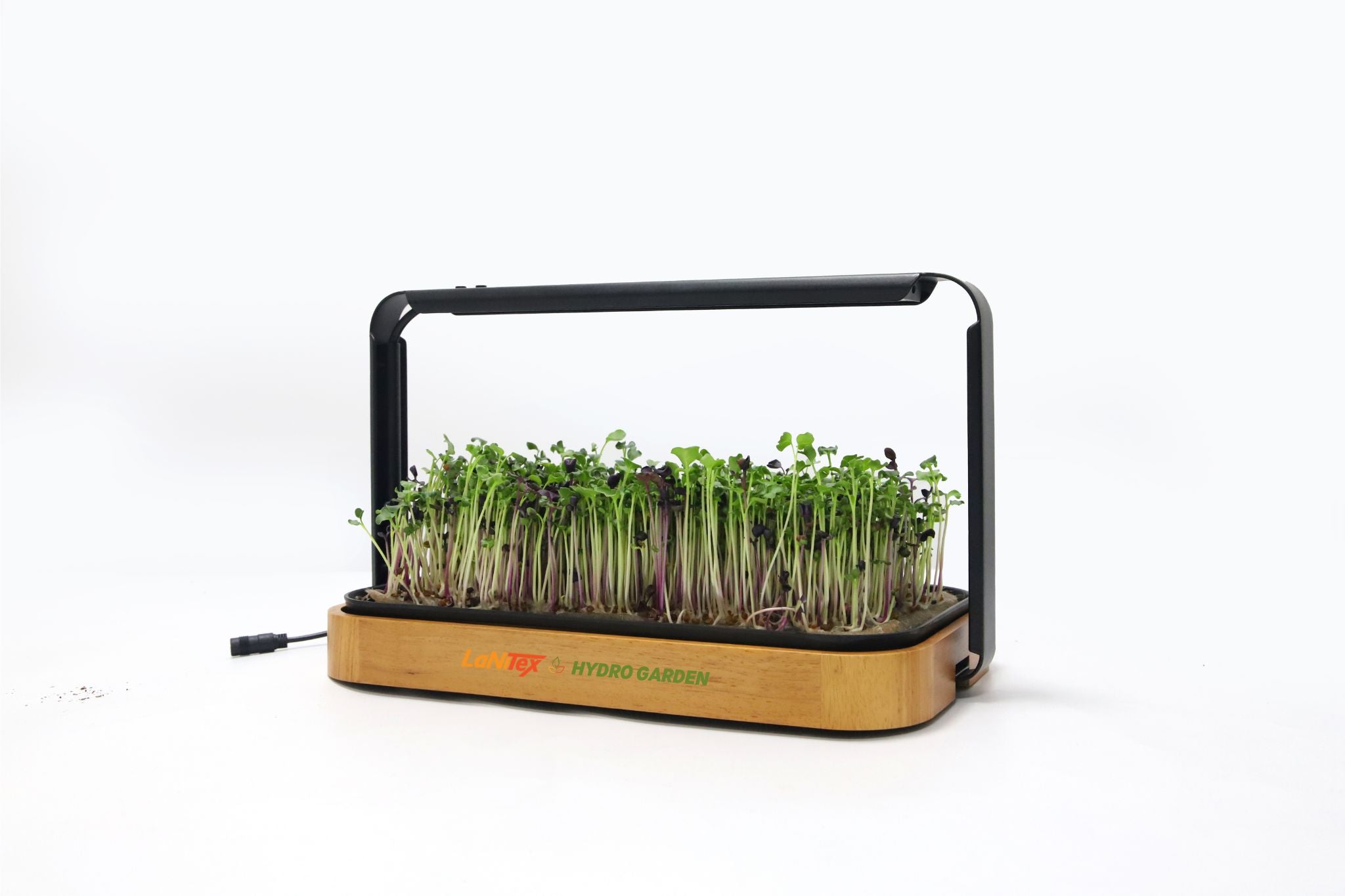 Smart microgreen kit in wooden style growing micro herbs on a white background, soil-free countertop setup