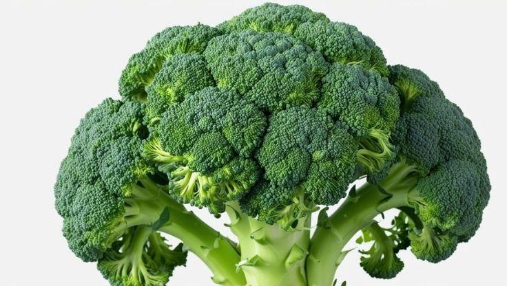 Hydroponic plants like broccoli develop efficiently using water-based nutrient systems.