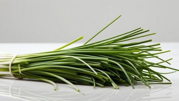 Vibrant hydroponic chives with long, slender green stalks, freshly arranged on a white surface, highlighting their crisp texture and freshness.