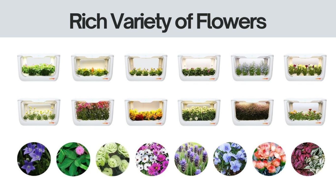 hydroponic box filled with blooming flowers, illuminated by built-in lighting in a clean, modern setting.