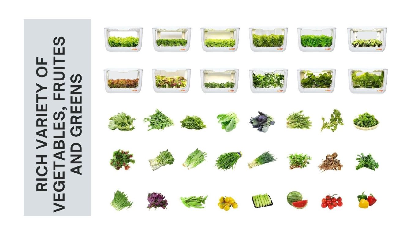 A hydroponic system growing fresh vegetables, fruits, and leafy greens in a clean, modern setup.