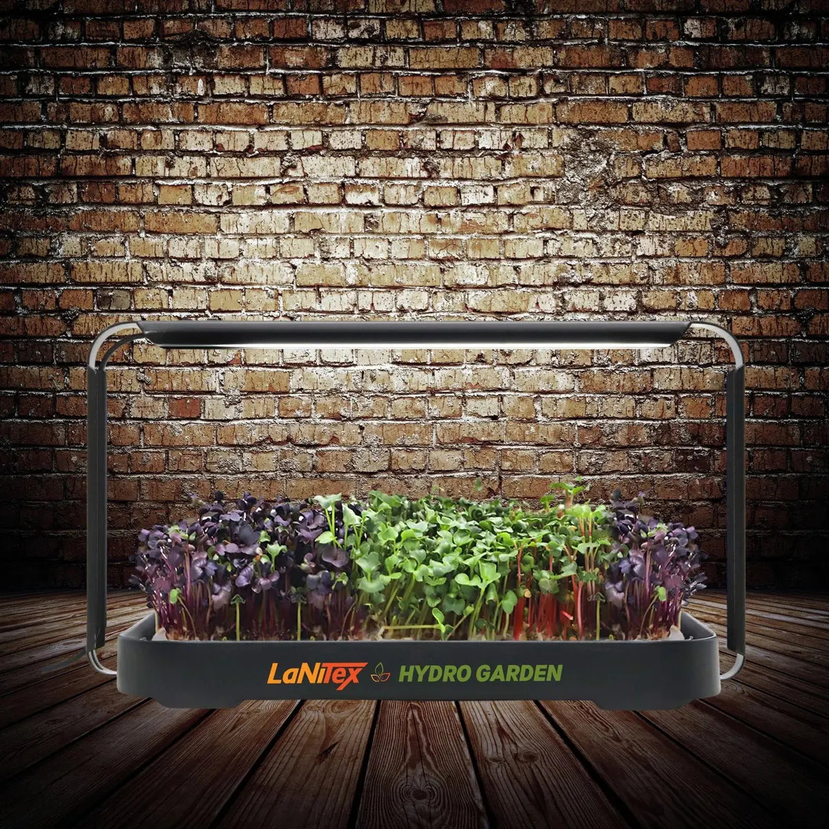 LaNiTex Smart Microgreen Growing Kit in black metal, growing mixed microgreens under its full-spectrum LED