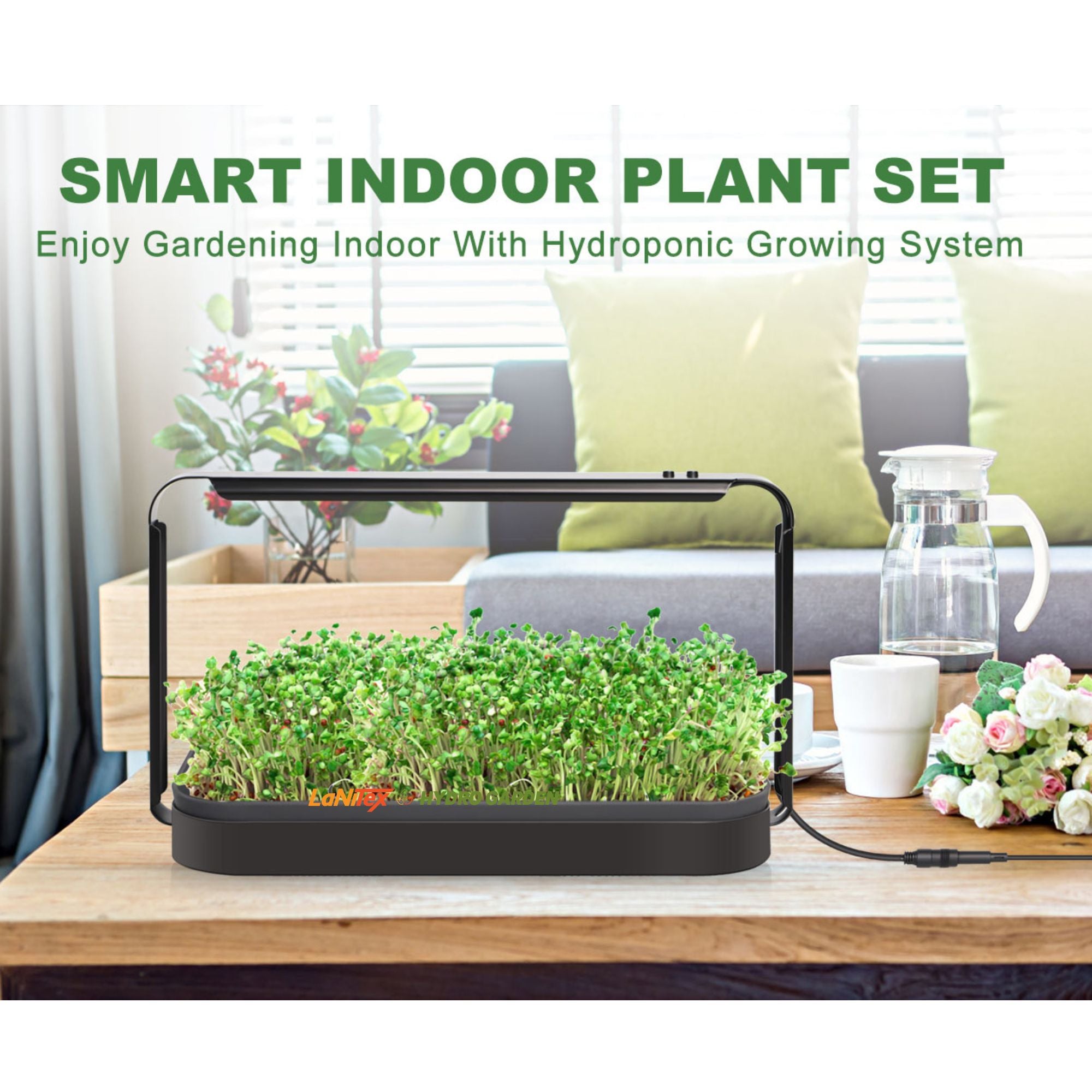 LaNiTex microgreen growing kit raising fresh microgreens in a modern Australian living room