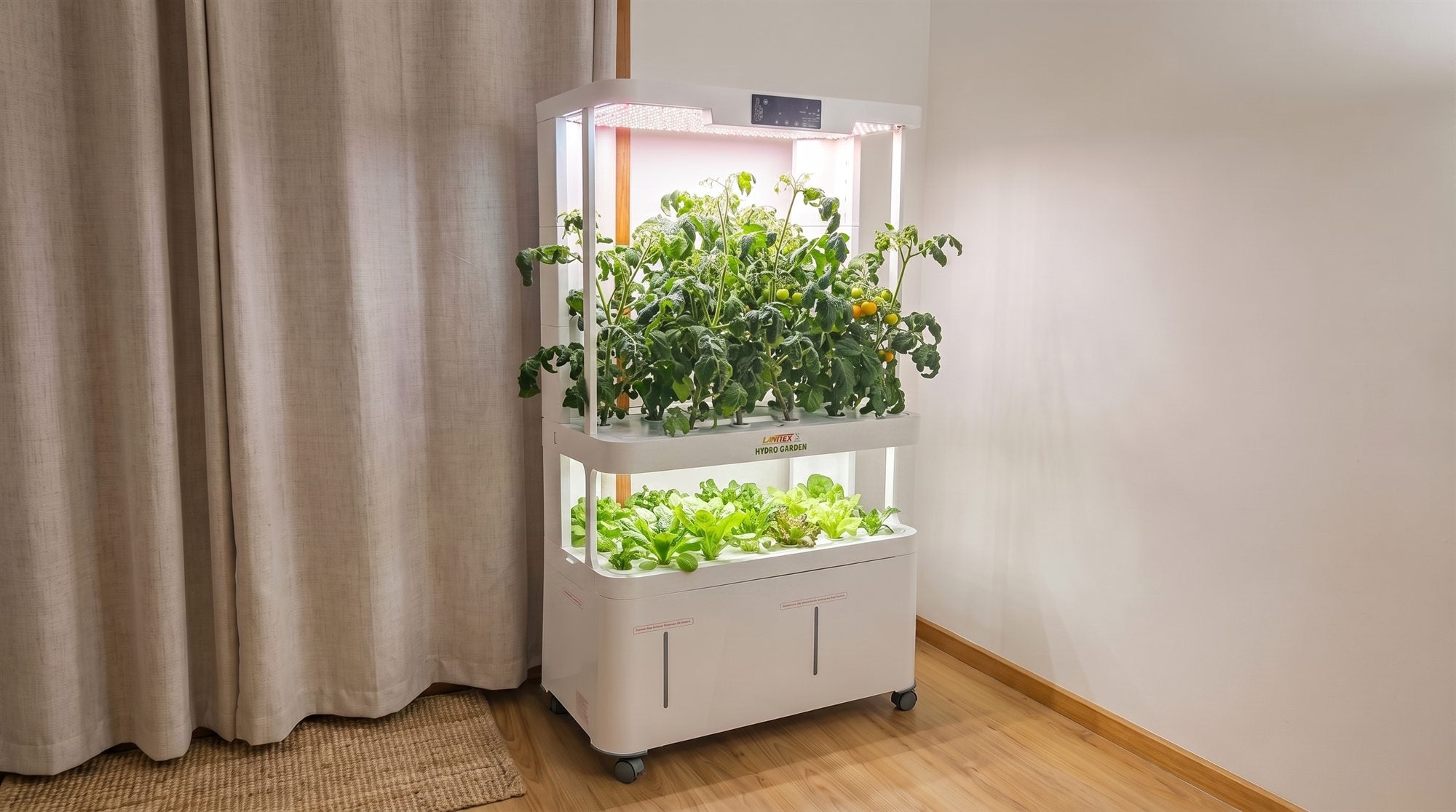 LaNiTex V5.2-T automated self-watering NFT hydroponic system with full-spectrum LED, by LaNiTex Australia