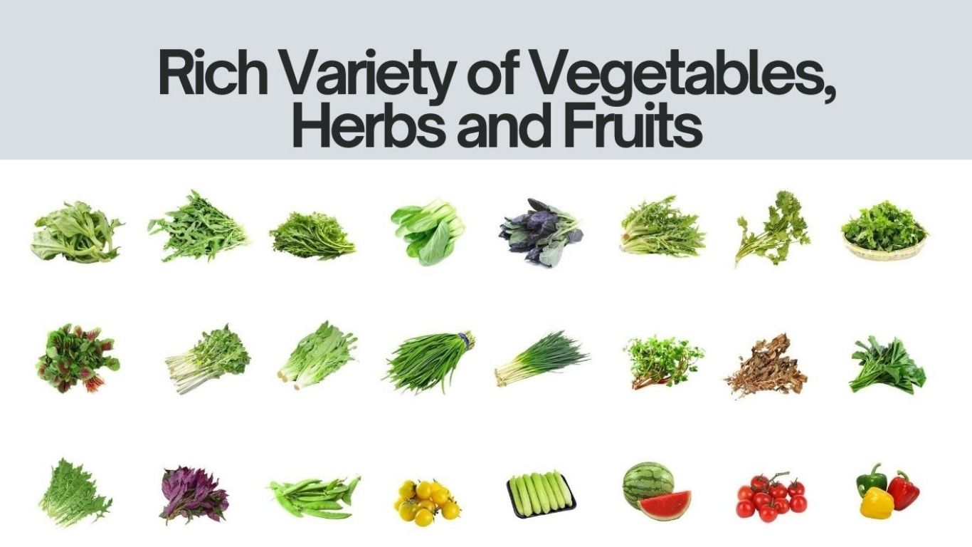 A vibrant assortment of fresh vegetables, herbs, and fruits arranged in a clean, modern display.