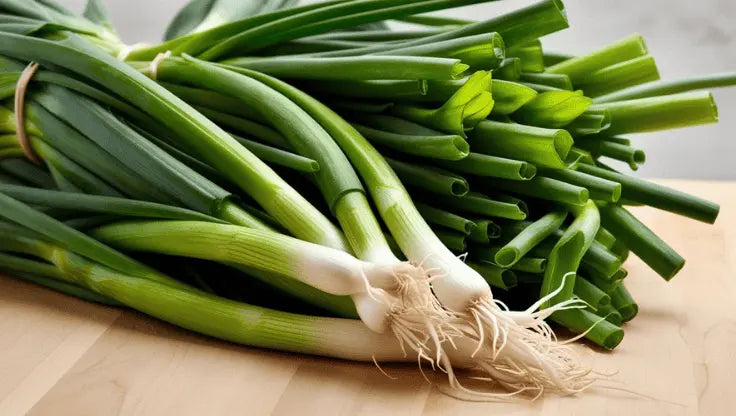 Hydroponic Cultivation of Spring Onions (Allium fistulosum) - LaNiTex Hydro Garden