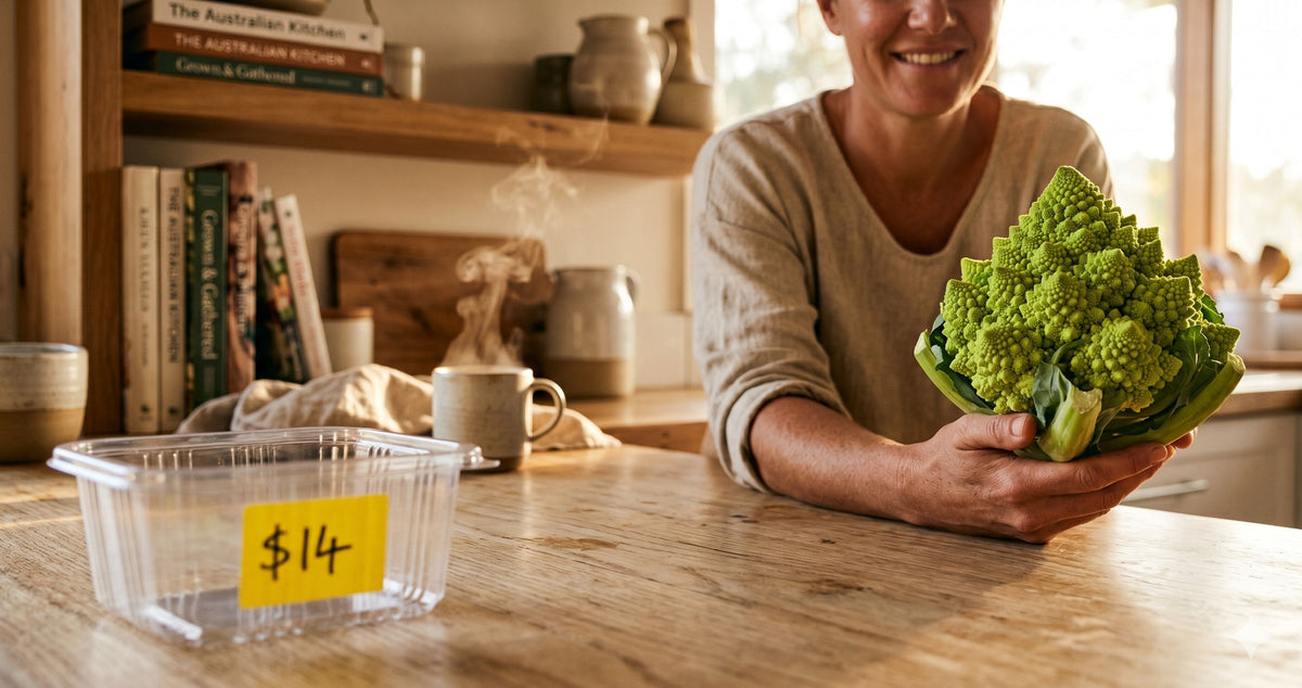 Smart Grow Box growing romanesco indoors on the Sunshine Coast with the fresh romanesco head on a timber kitchen bench
