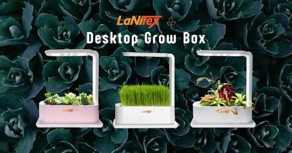 LaNiTex Desktop Grow Box | Smart Indoor Hydroponics AU