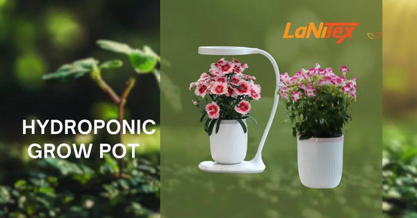 LaNiTex Indoor Mini Hydroponic Grow Pot Z 2.4: growing fresh herbs on your bench for $75