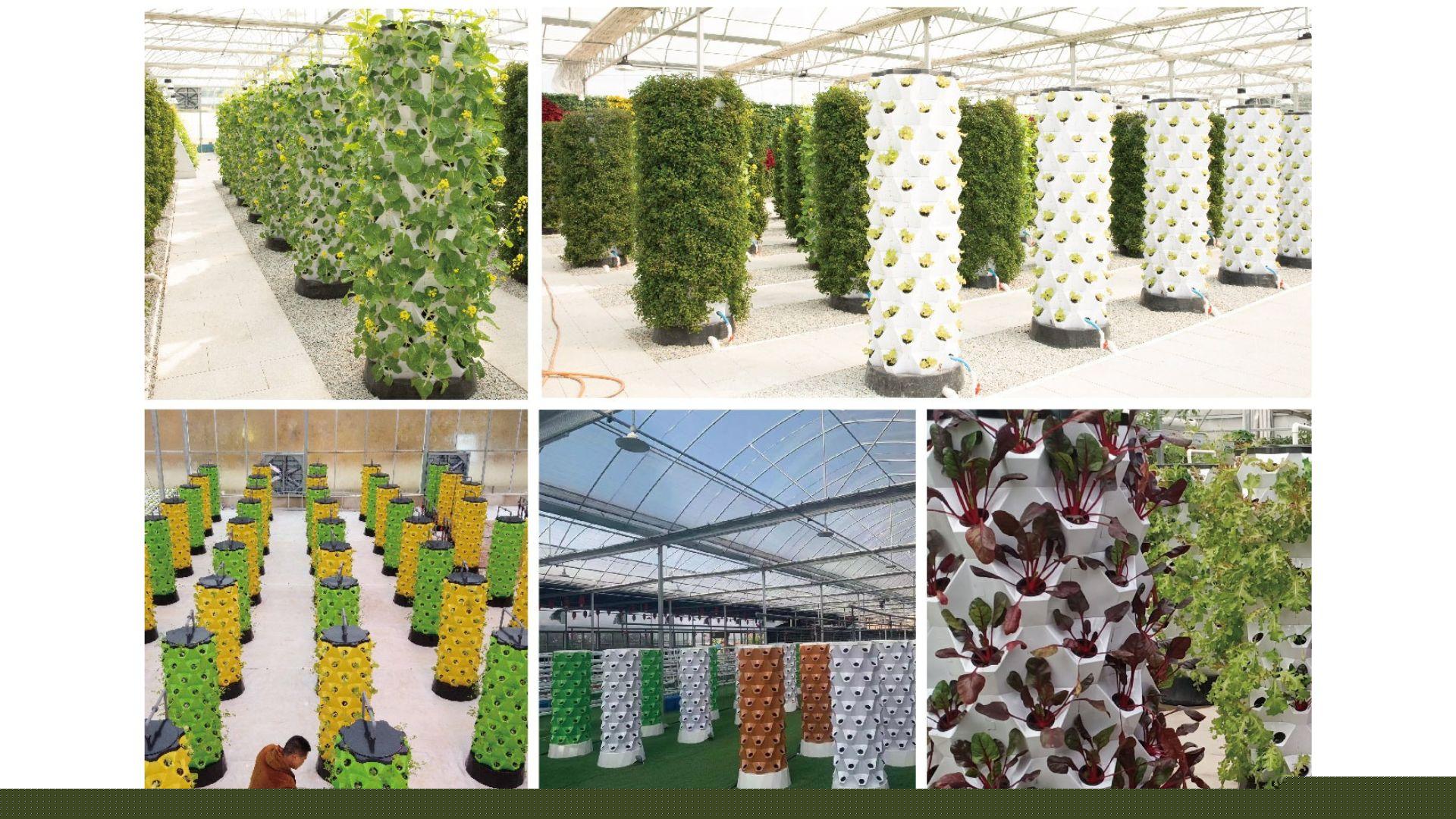 Hydroponic-Tower-or-Aeroponic-Tower-Benefits-Comparison LaNiTex Hydro Garden
