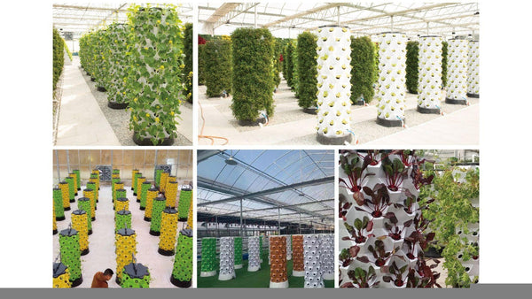 Hydroponic Tower or Aeroponic Tower: Benefits & Comparison