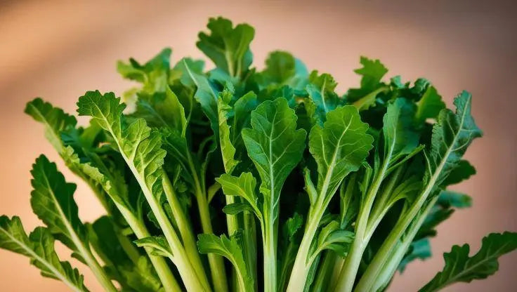 Mustard Greens - LaNiTex Hydro Garden