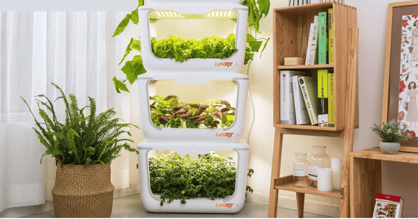 Grow tower for apartments in Australia: what works