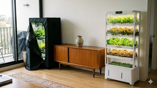 Grow Tents vs Hydroponic Grow Box: 2026 AU Guide
