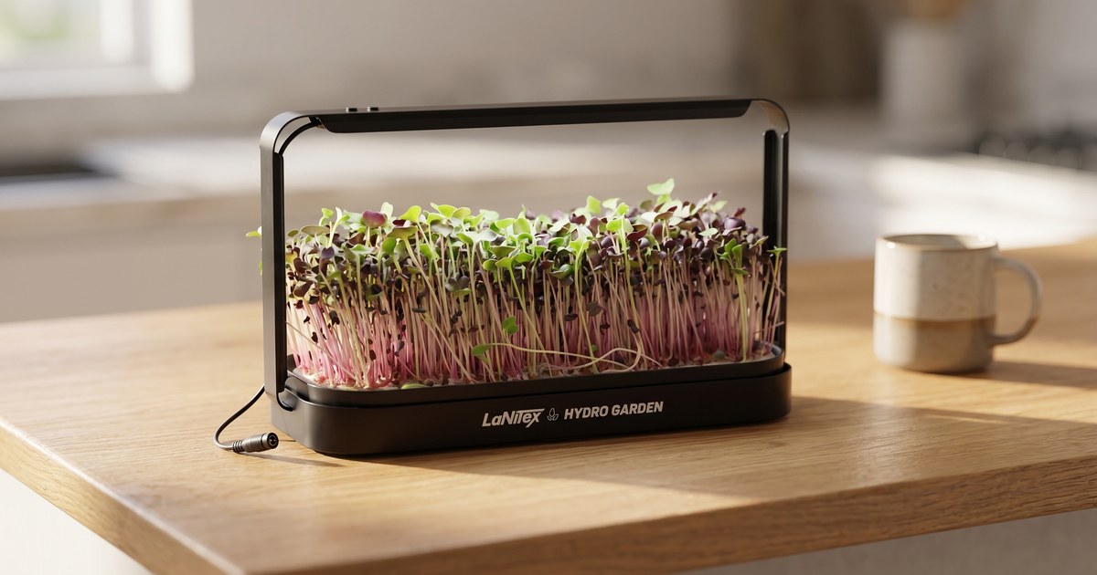 LaNiTex Smart Microgreen Kit black metal growing fresh microgreens on a timber kitchen bench, microgreen kit Australia
