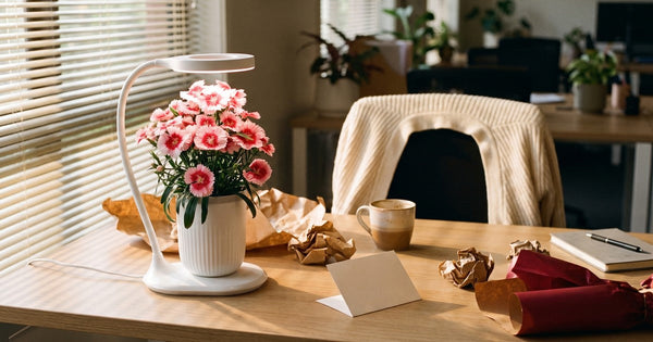 Secret Santa Gift Ideas: What $20, $30 and $50 Buys