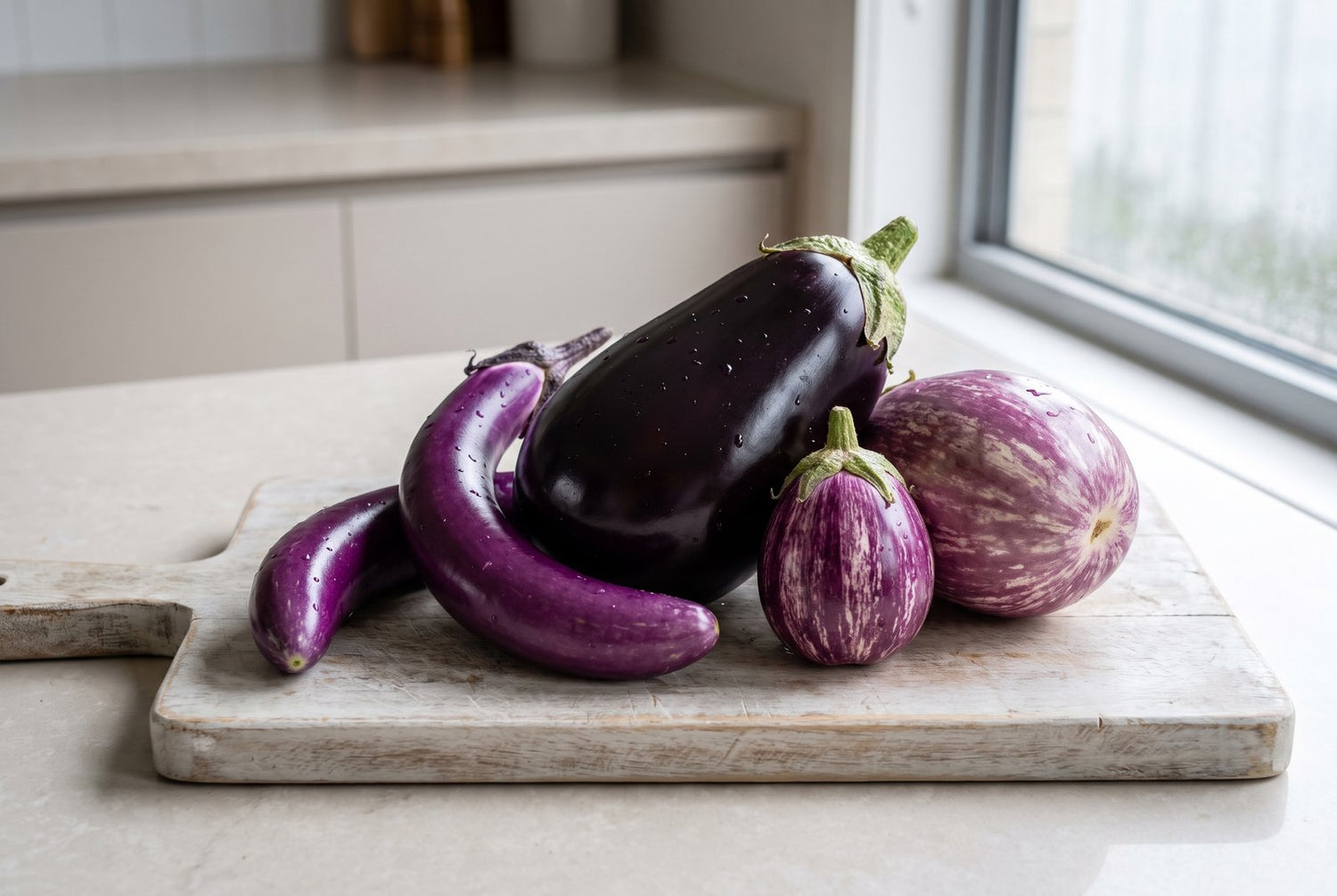 Freshly harvested eggplant varieties - Black Beauty, Japanese Long, Fairy Tale and Rosa Bianca - on a wooden board