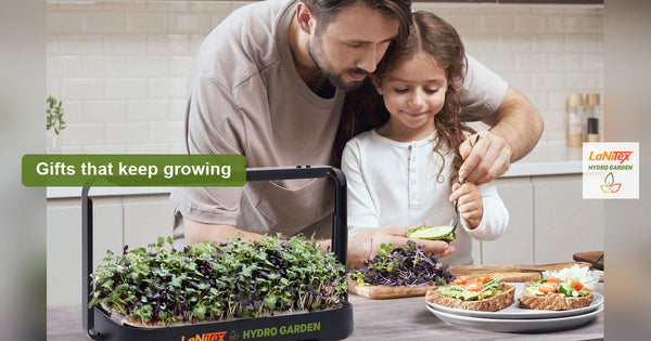 Father's Day Gift Ideas Australia: Gifts That Keep Growing