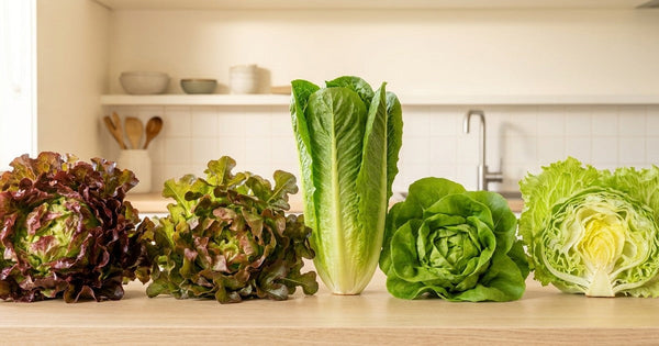 Healthiest Lettuce: A Guide to Choosing the Most Nutritious Greens